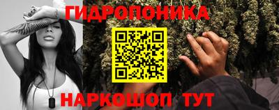 Альфа ПВП Новокубанск