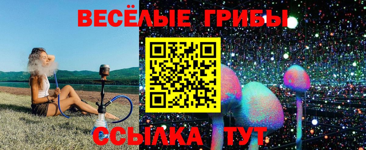 Фрязино  купить  цена  Вход с VPN  Псилоцибиновые грибы Psilocybe 