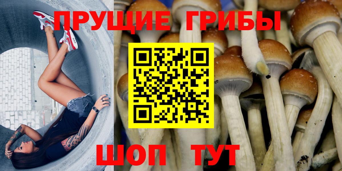 Галлюциногенные грибы мухоморы Фрязино